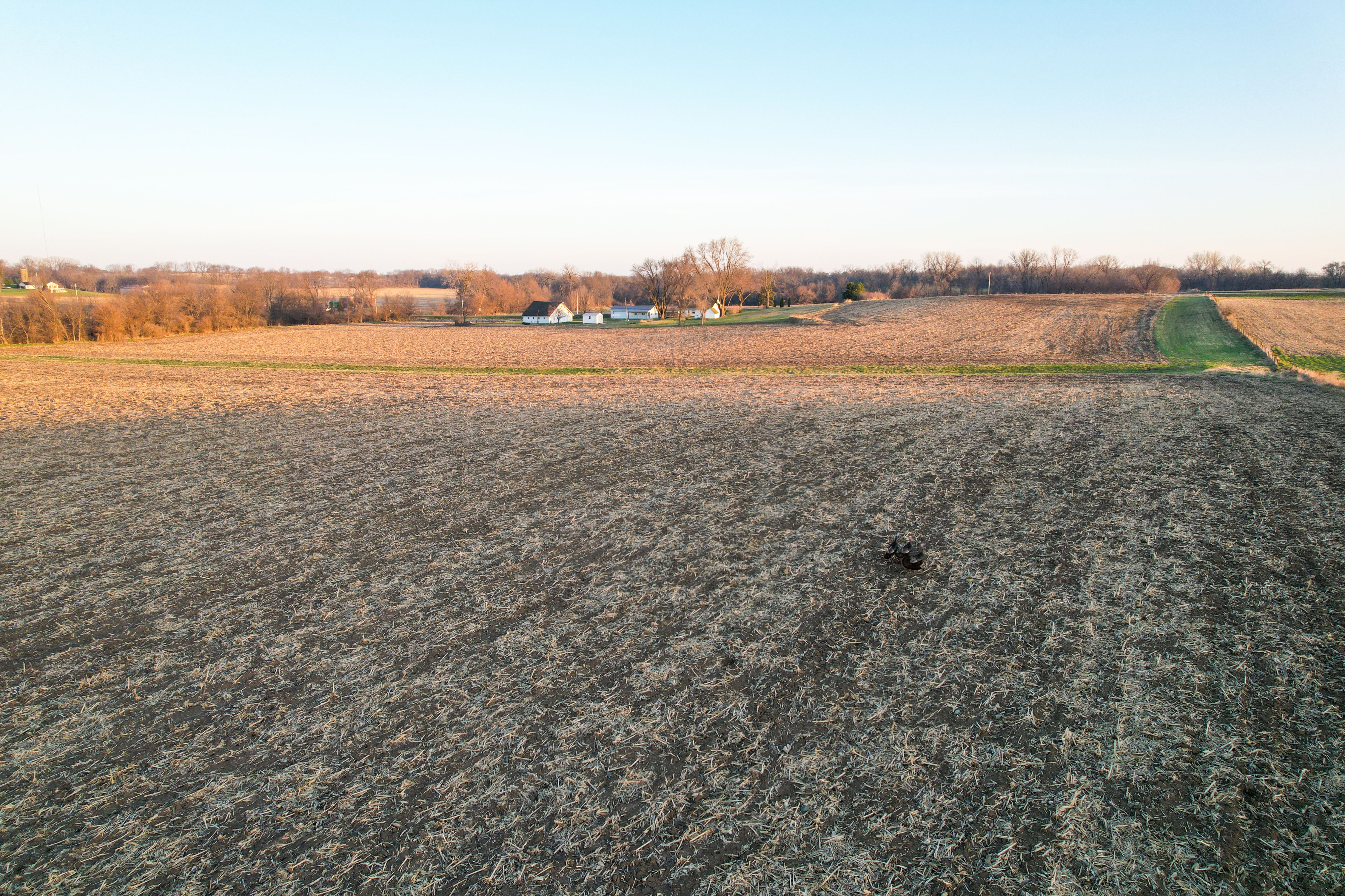 Listing Photo: Photo Mar 30 2026, 7 24 24 AM